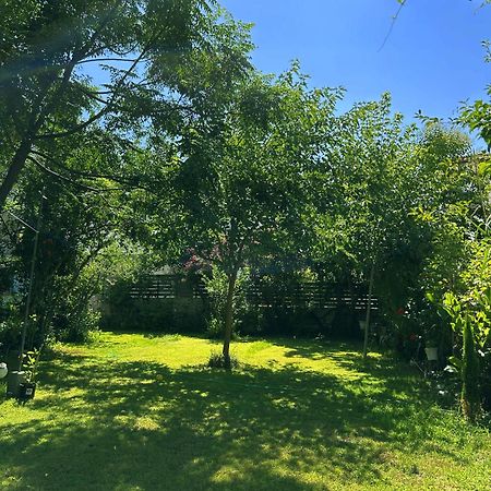 Apartament Anthonas House Nikiti  Zewnętrze zdjęcie